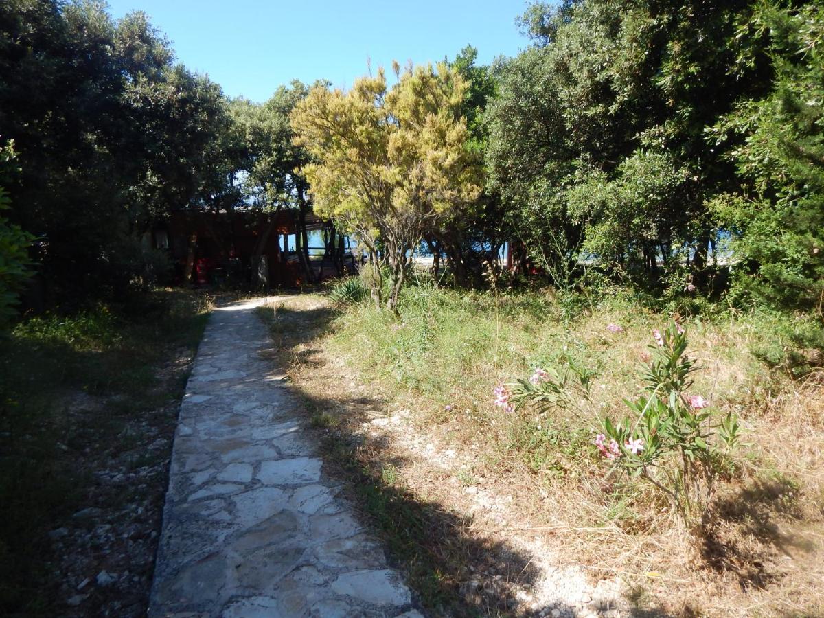 Apartman Duje Petrčane Kültér fotó